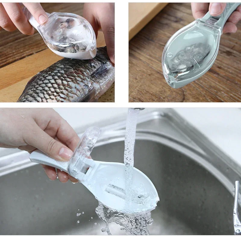 Fishing Equipment Kitchener - Grattugie per squame di pesce Raschietto