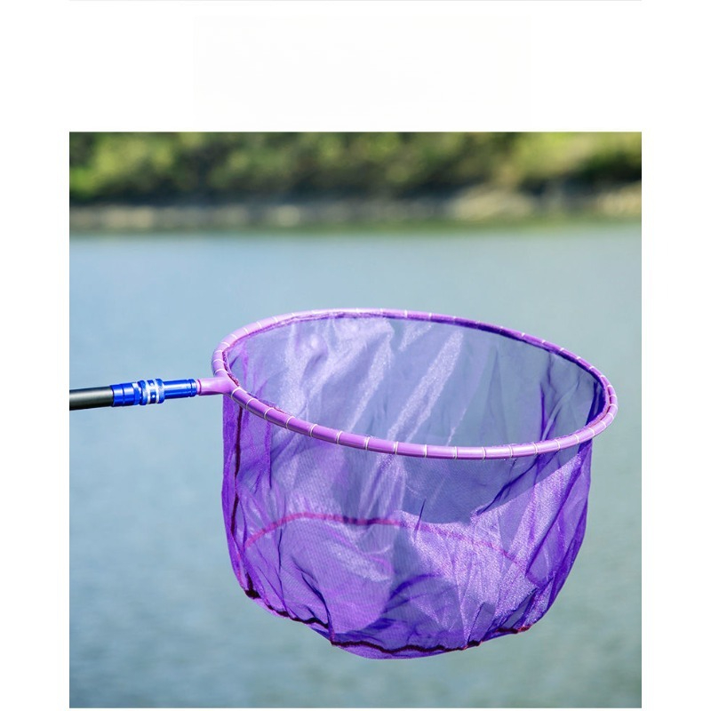 1PC 25cm Testa di rete da pesc - Landing Net Telescopic recensione e prezzo