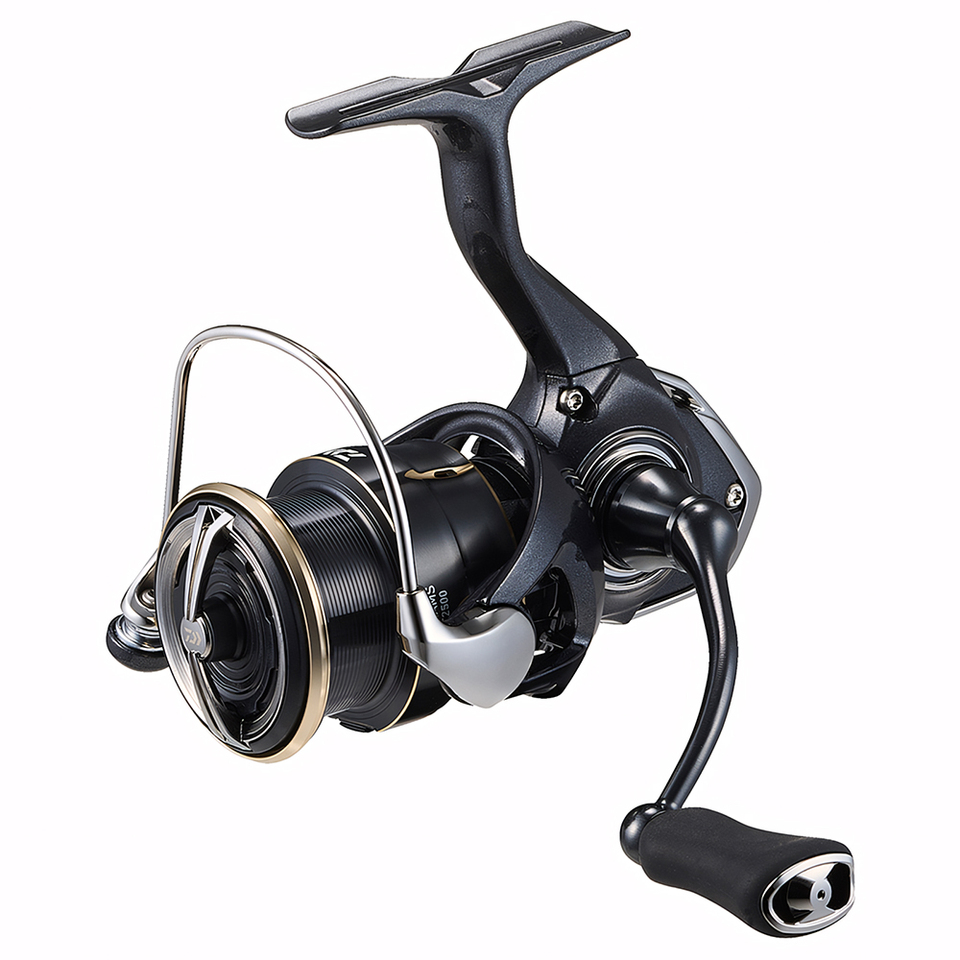 Mulinello da Spinning DAIWA 20 - Fishing Equipment Daiwa recensione e prezzo