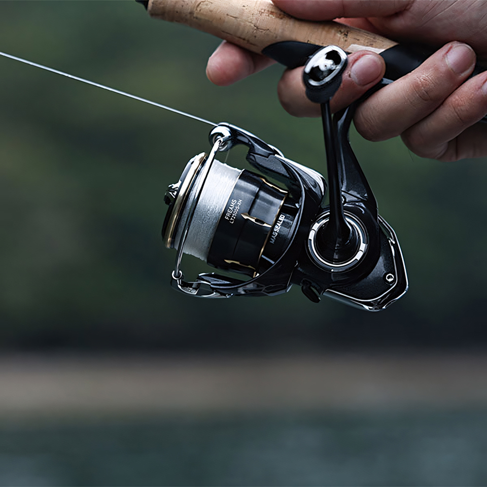 Mulinello da Spinning DAIWA 20 - Fishing Equipment Daiwa recensione e prezzo