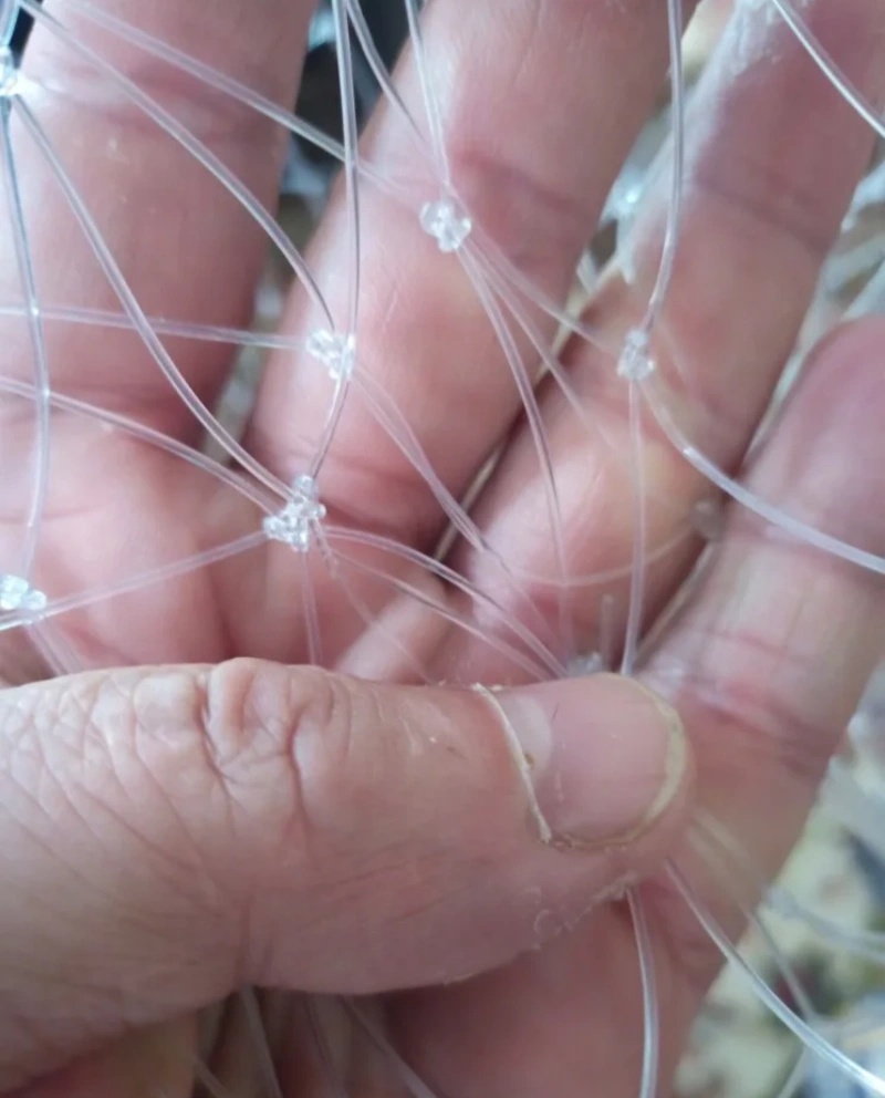 Rete da pesca a doppia linea d - Landing Net Telescopic recensione e prezzo