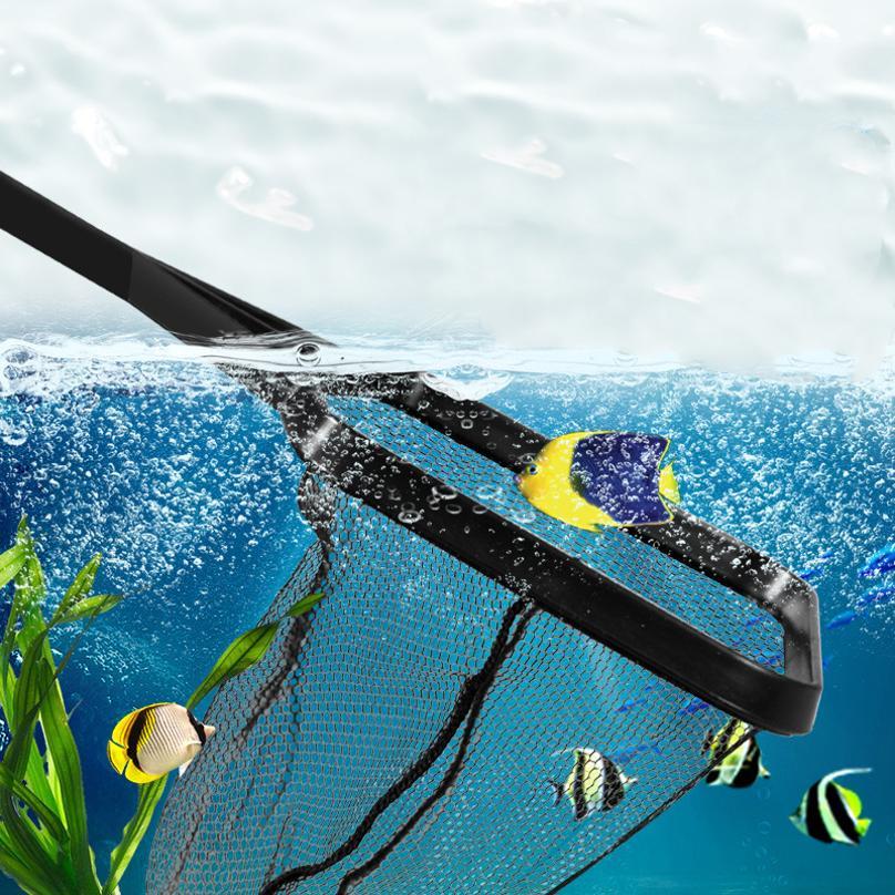 Rete da Pesca Telescopica in P - Landing Net Telescopic recensione e prezzo