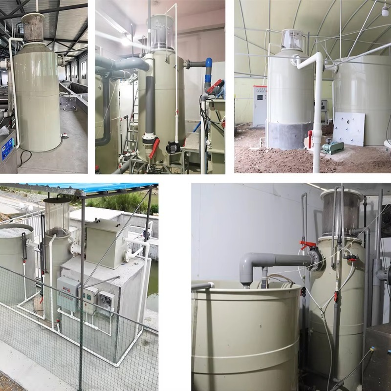 Offerta Speciale: Attrezzature - Fishing Equipment For Sale recensione e prezzo