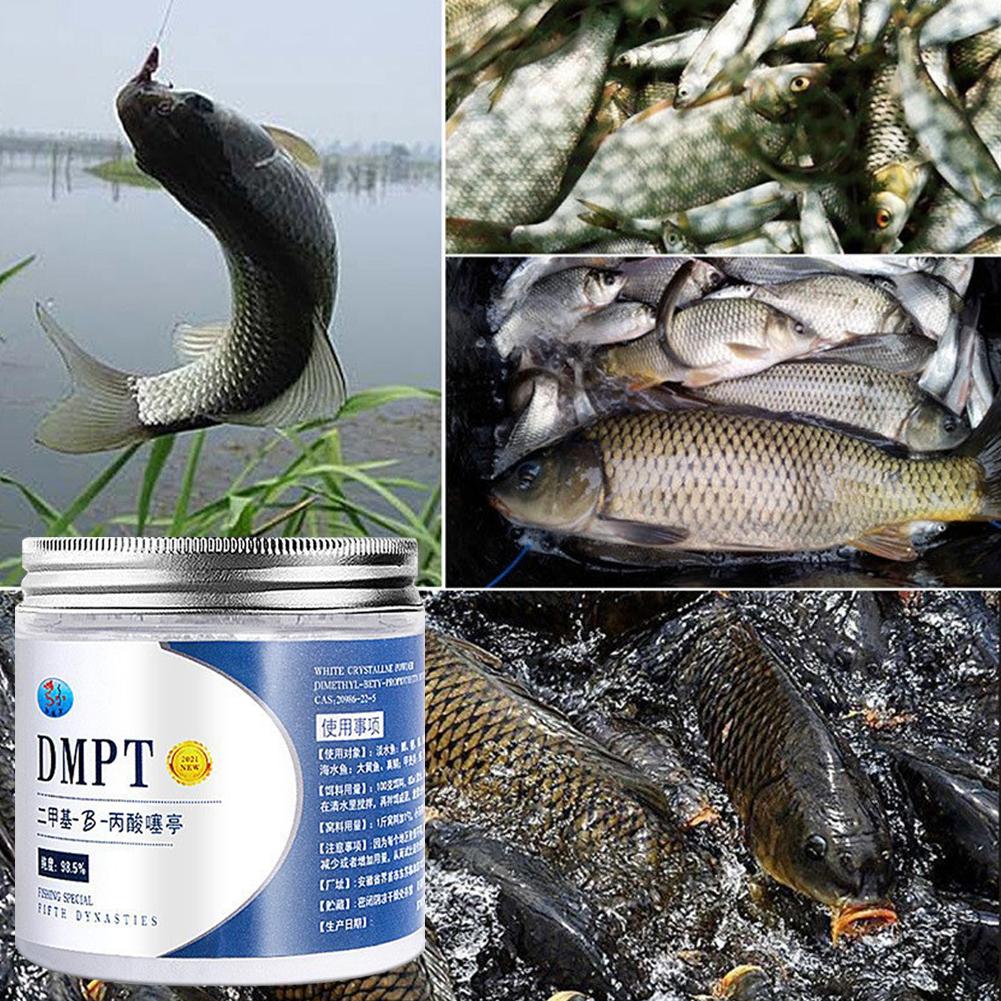 50g Reale DMPT Esca da pesca a - Fishing Equipment For Sale recensione e prezzo
